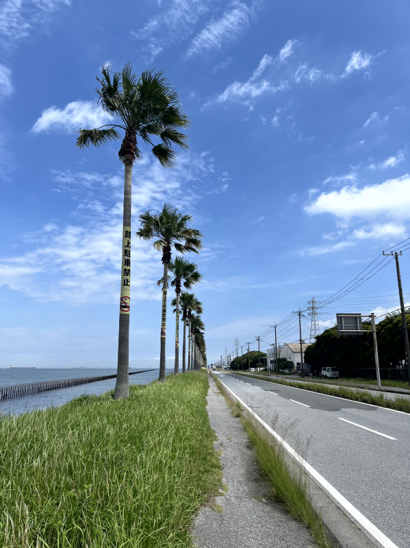 千葉 南房総散策と鋸山1