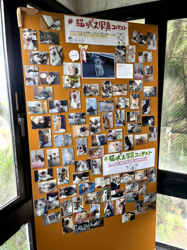 千葉 犬吠埼と銚子散策14